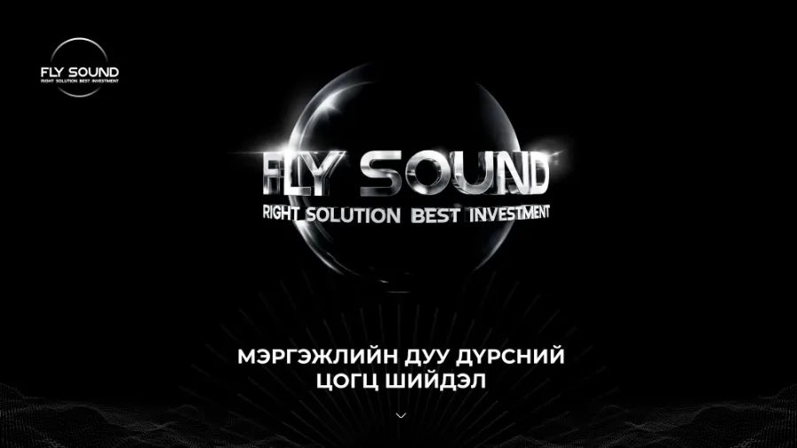 Fly Sound LLC — Brand book