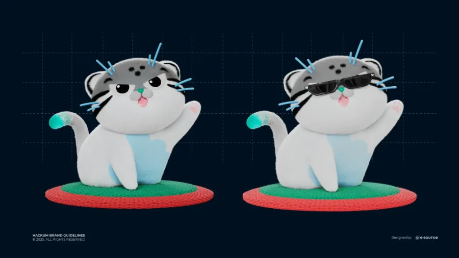Hackum character guideline 2025